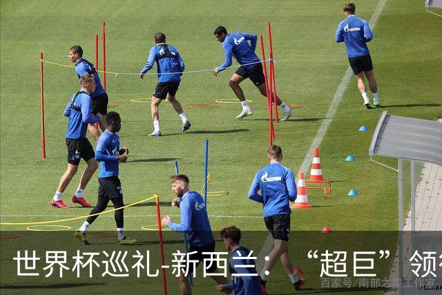 世界杯巡礼-新西兰：“超巨”领衔平民军团，小组突围不是梦！